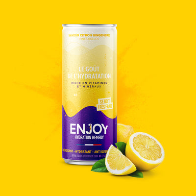 CITRON GINGEMBRE - PACK 6 X CANETTES 33 CL