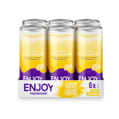 CITRON GINGEMBRE - PACK 6 X CANETTES 33 CL