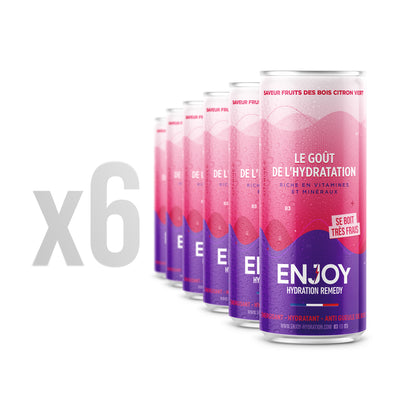 FRUITS DES BOIS CITRON VERT - PACK 6 X CANETTES 33 CL