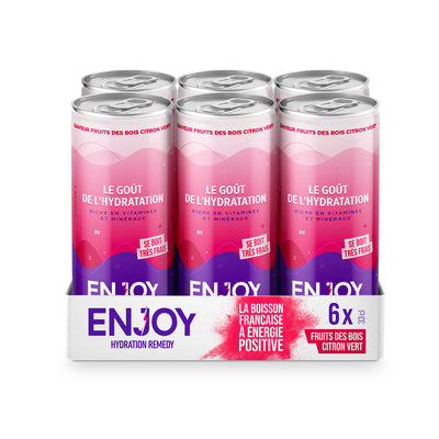 FRUITS DES BOIS CITRON VERT - PACK 6 X CANETTES 33 CL