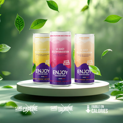 NOUVEAU - MIX DÉCOUVERTE - PACK 6 X CANETTES 33 CL