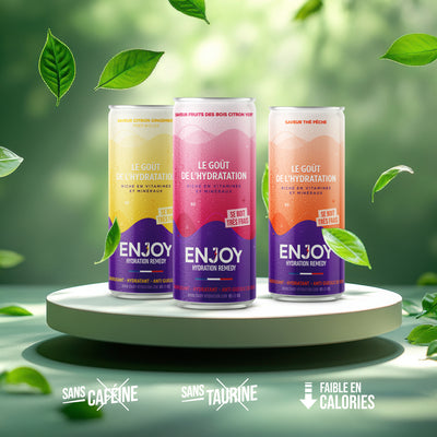 MIX ORIGINAL - PACK 6 X CANETTES 33 CL