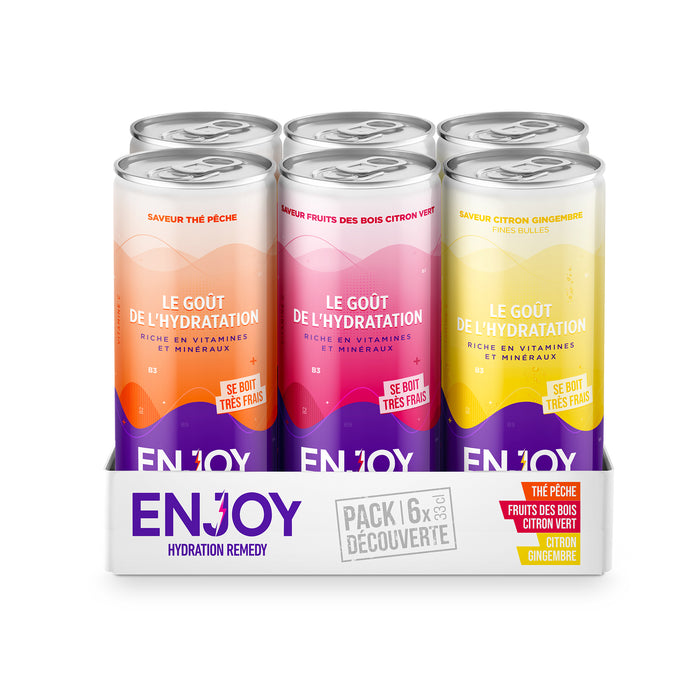 MIX ORIGINAL - PACK 6 X CANETTES 33 CL