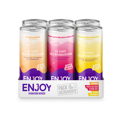 NOUVEAU - MIX DÉCOUVERTE - PACK 6 X CANETTES 33 CL