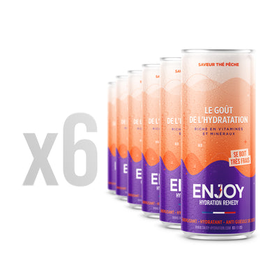 THÉ PÊCHE - PACK 6 X CANETTES 33 CL