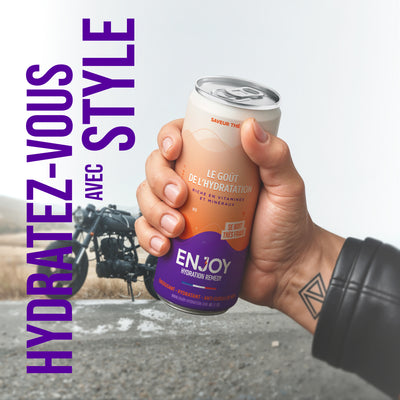 THÉ PÊCHE - PACK 6 X CANETTES 33 CL