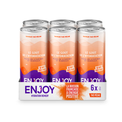 THÉ PÊCHE - PACK 6 X CANETTES 33 CL